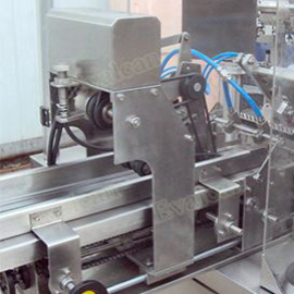 Rotary Pouch Fill Seal Machine